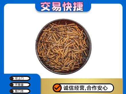 荆州沙市区高价回收散虫草